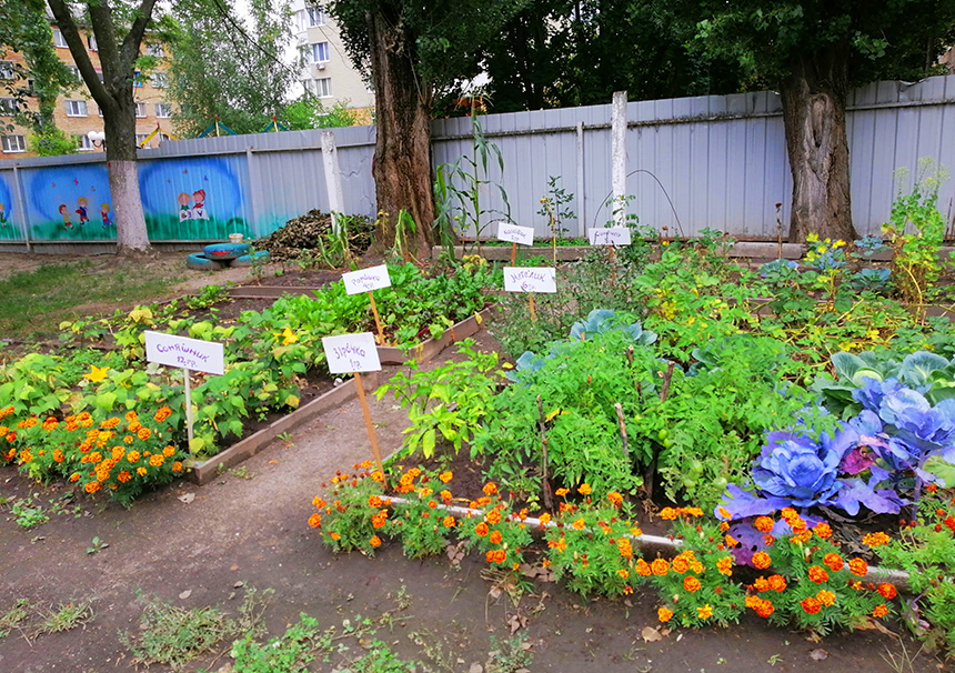 teremok vegetable garden
