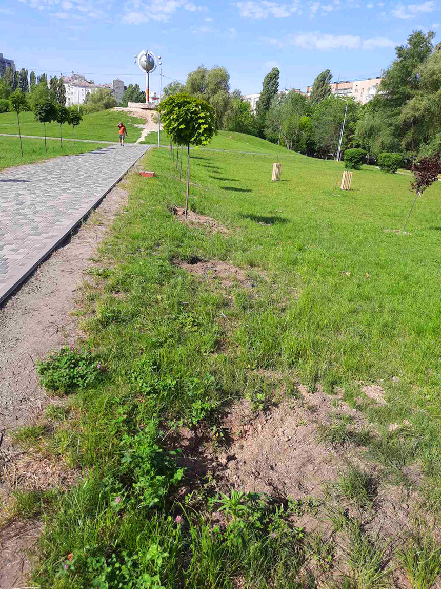 kleny 2